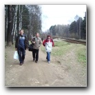 IMGP2529